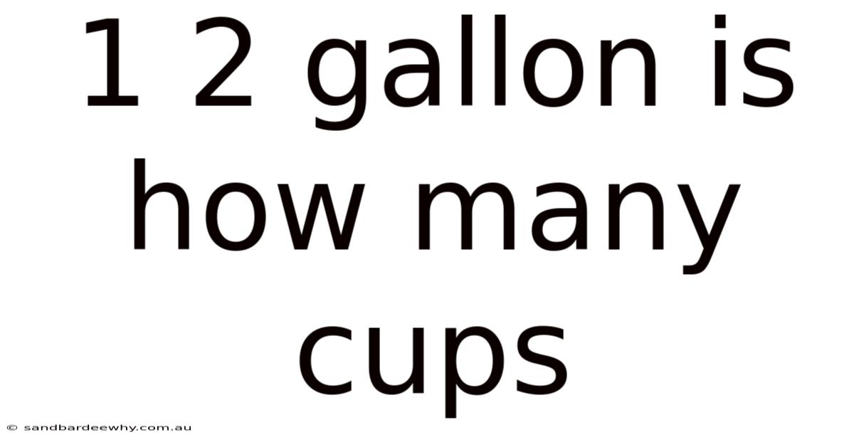 1 2 Gallon Is How Many Cups
