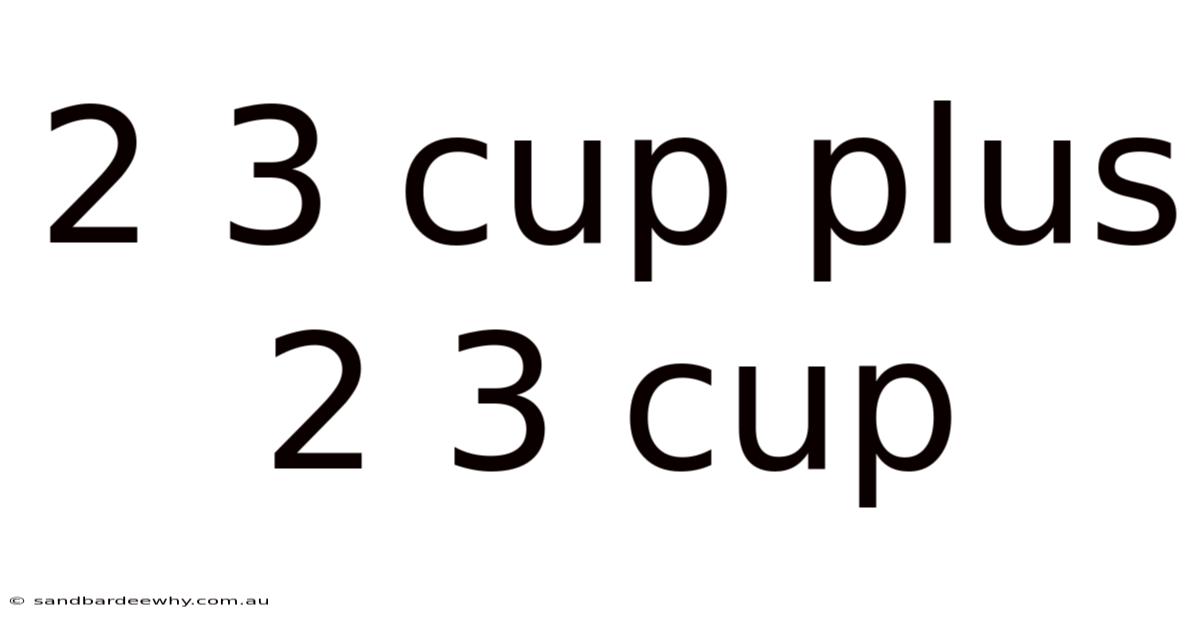 2 3 Cup Plus 2 3 Cup
