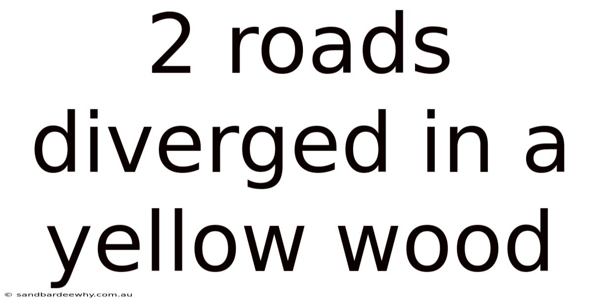 2 Roads Diverged In A Yellow Wood