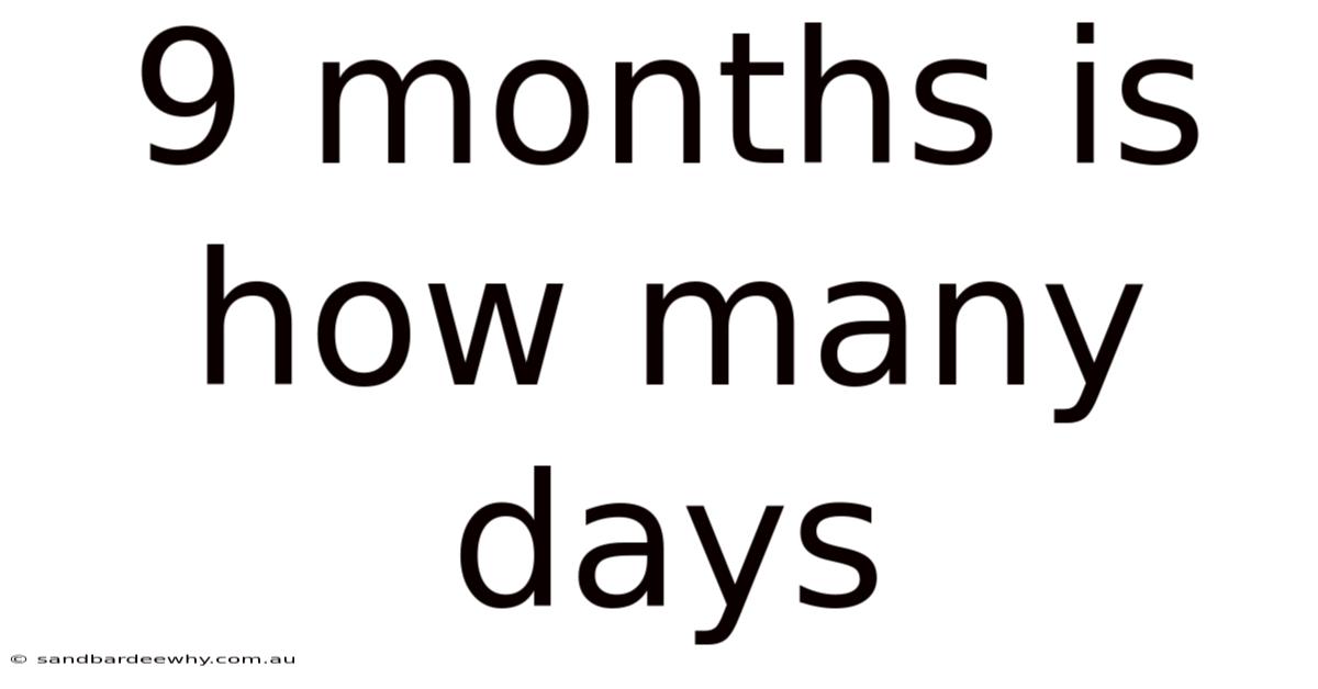 9 Months Is How Many Days