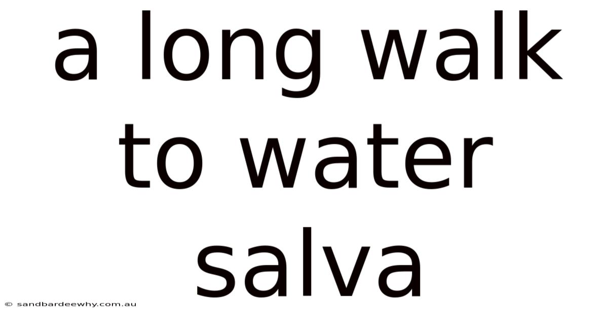 A Long Walk To Water Salva