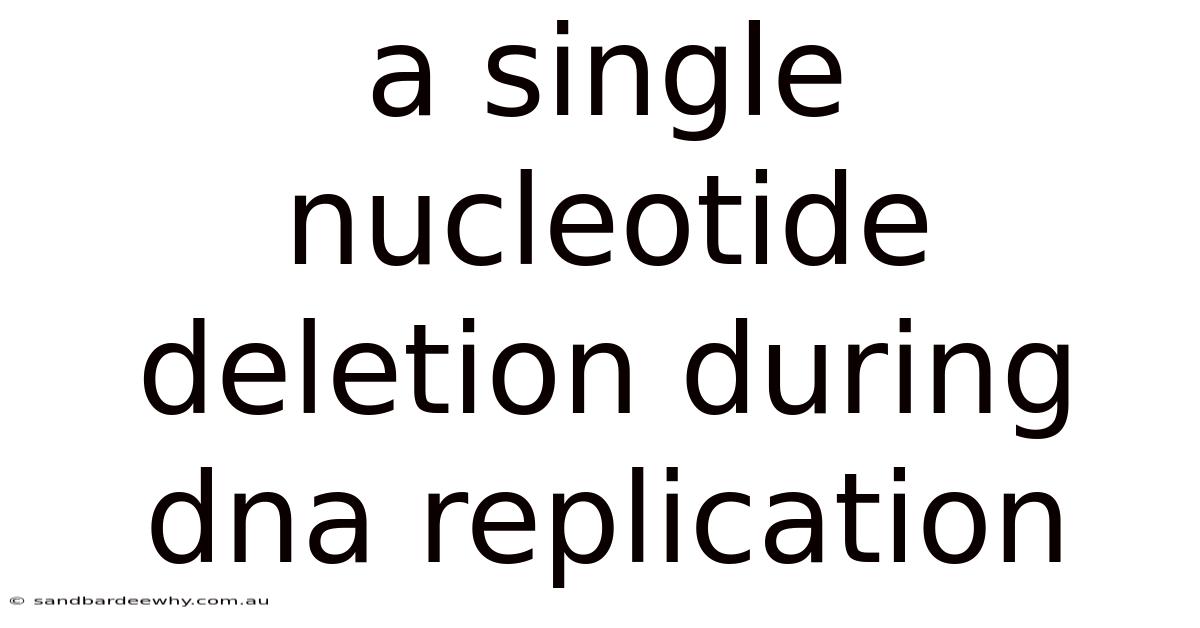 A Single Nucleotide Deletion During Dna Replication