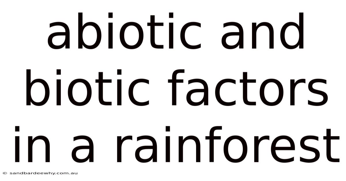 Abiotic And Biotic Factors In A Rainforest