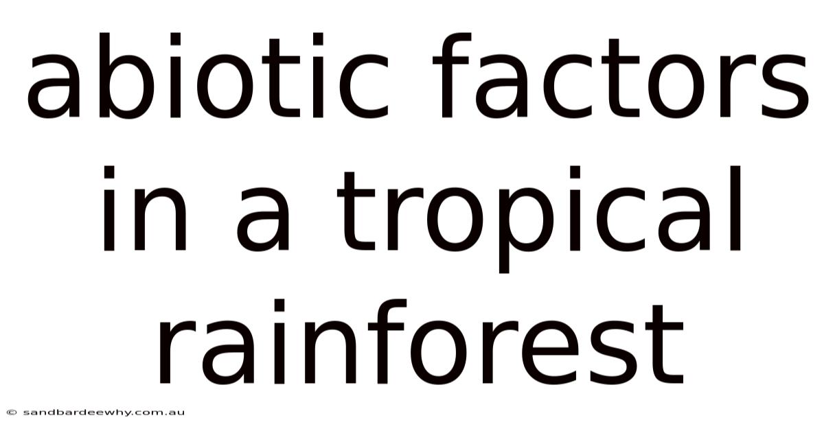 Abiotic Factors In A Tropical Rainforest