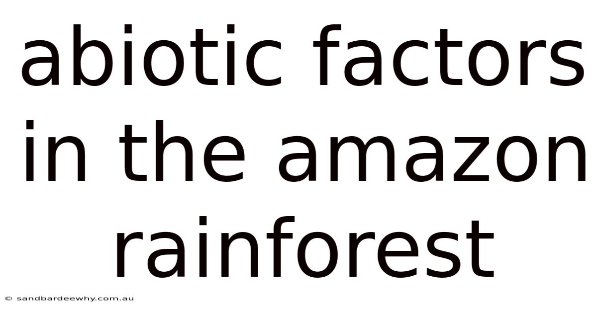 Abiotic Factors In The Amazon Rainforest