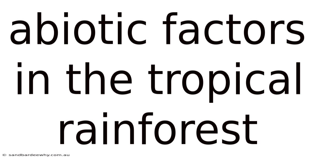 Abiotic Factors In The Tropical Rainforest