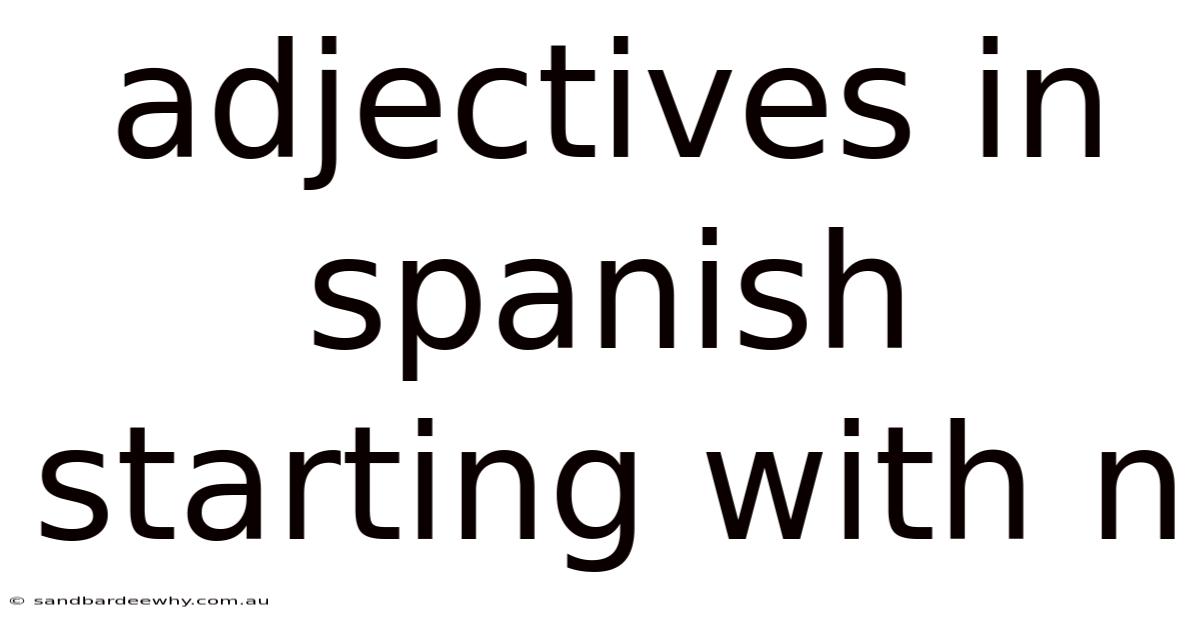 Adjectives In Spanish Starting With N