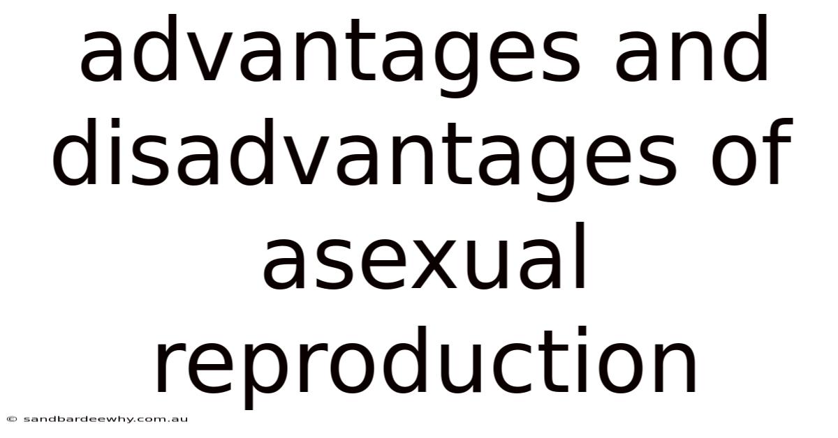 Advantages And Disadvantages Of Asexual Reproduction