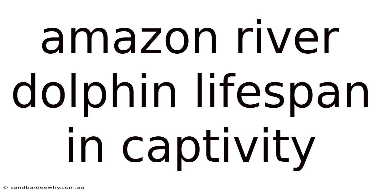 Amazon River Dolphin Lifespan In Captivity