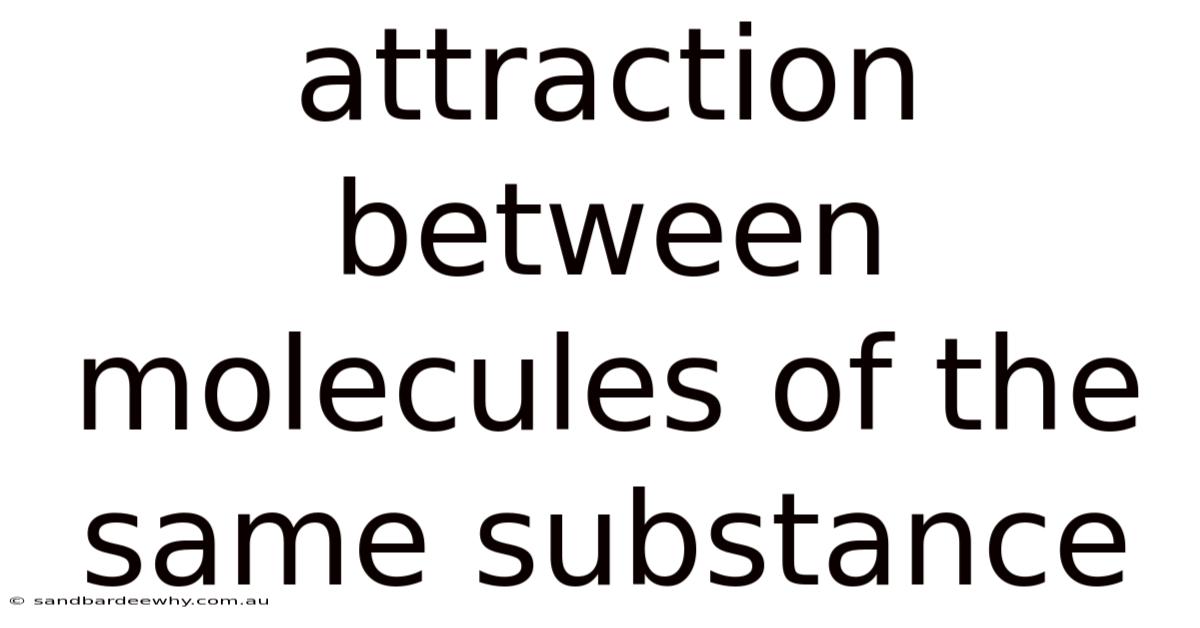 Attraction Between Molecules Of The Same Substance