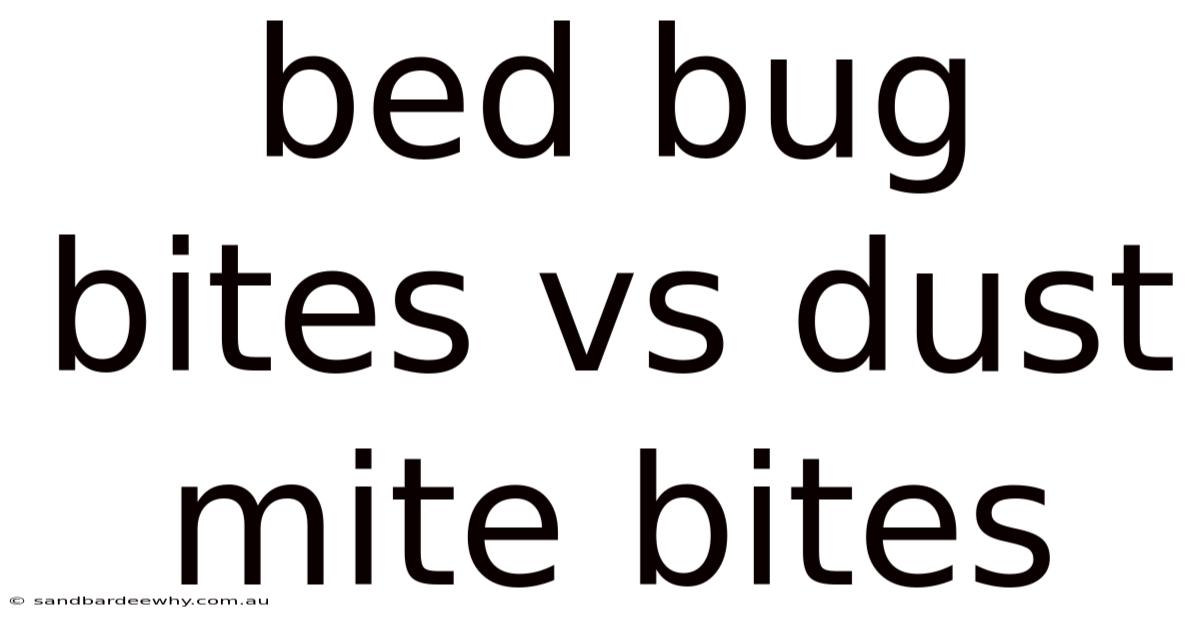 Bed Bug Bites Vs Dust Mite Bites