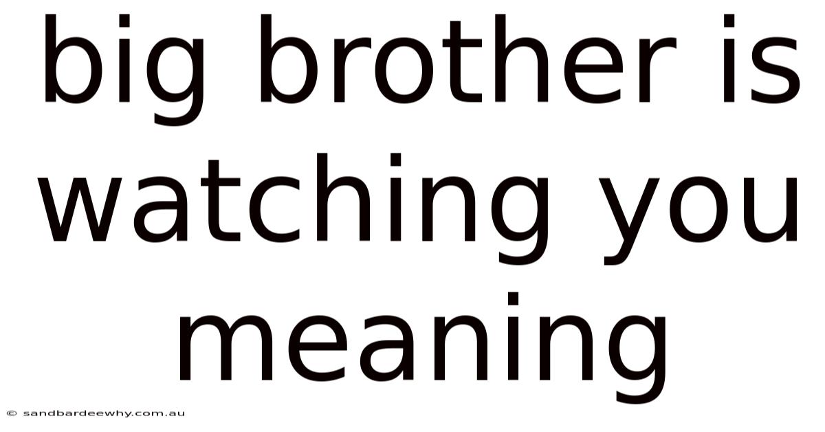 Big Brother Is Watching You Meaning