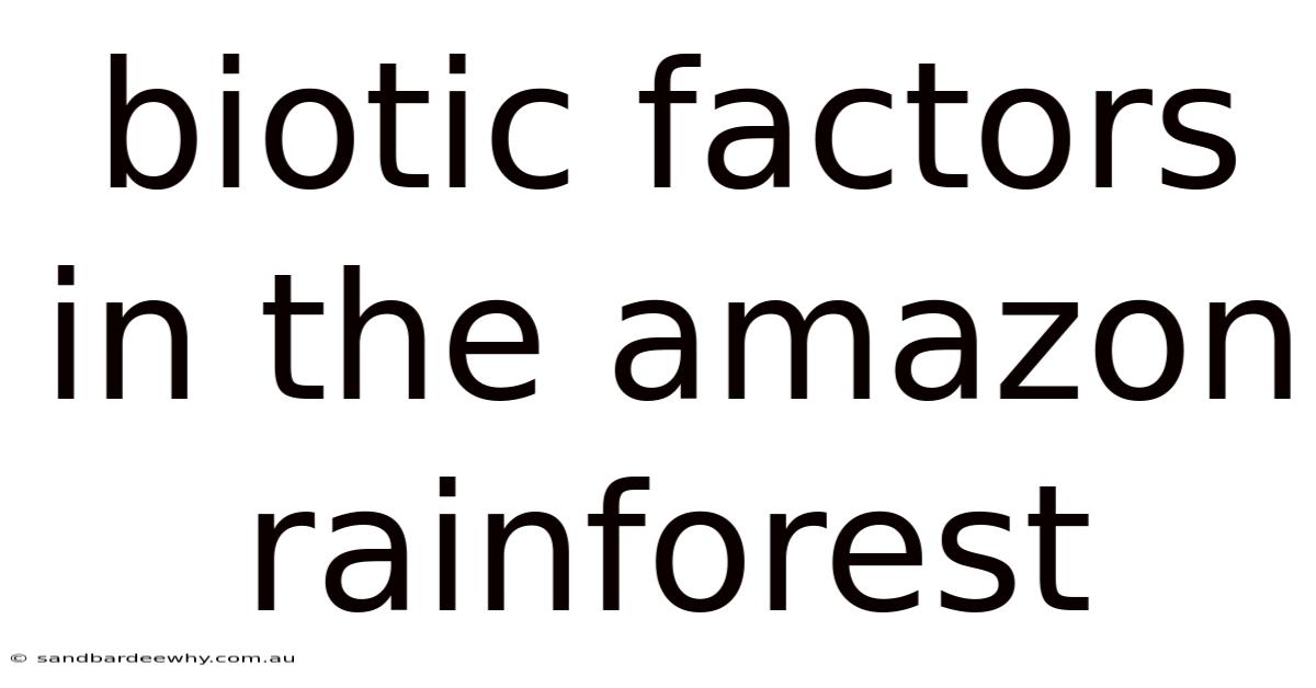 Biotic Factors In The Amazon Rainforest