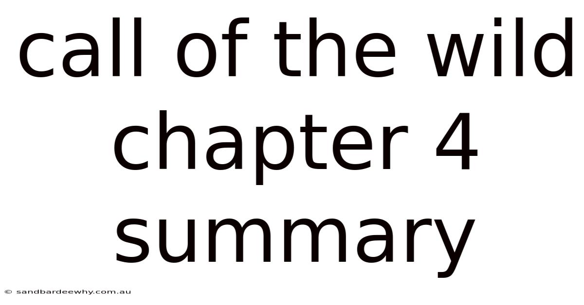 Call Of The Wild Chapter 4 Summary