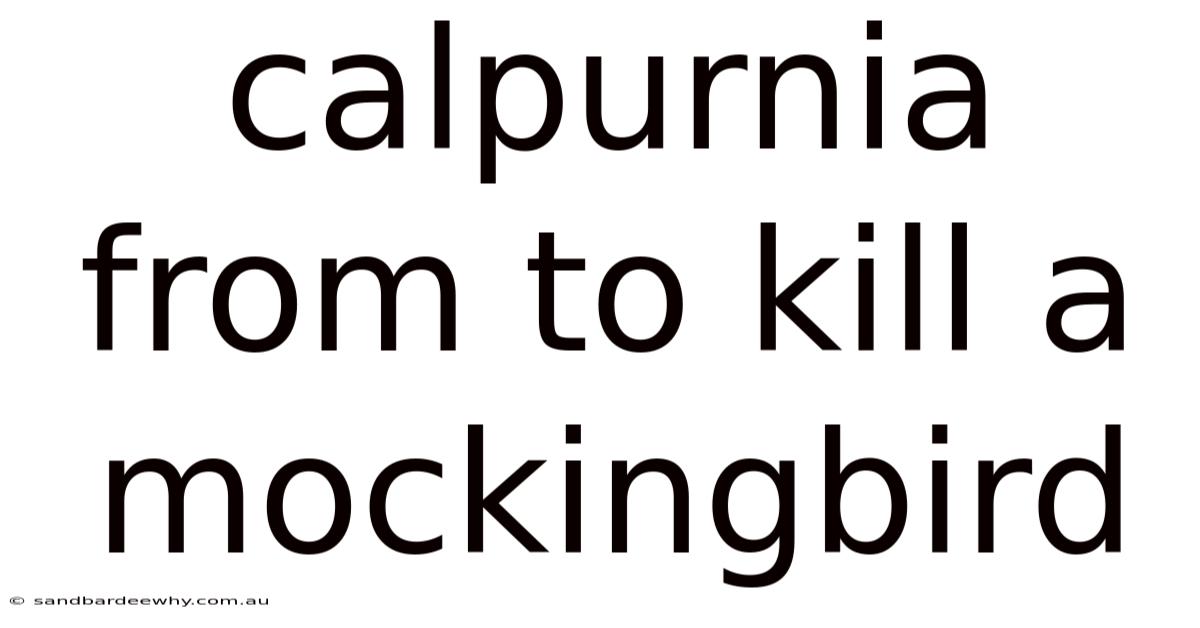 Calpurnia From To Kill A Mockingbird
