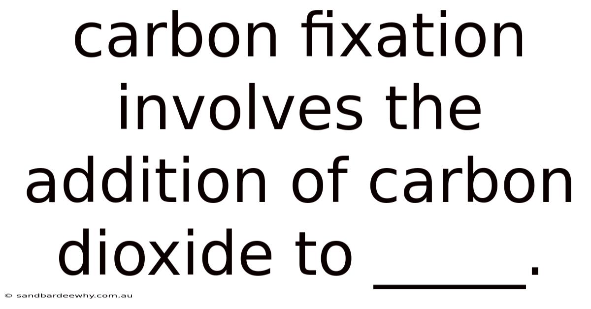 Carbon Fixation Involves The Addition Of Carbon Dioxide To _____.