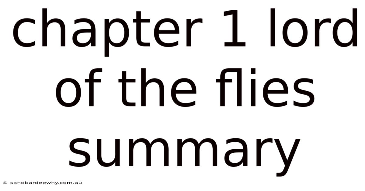 Chapter 1 Lord Of The Flies Summary