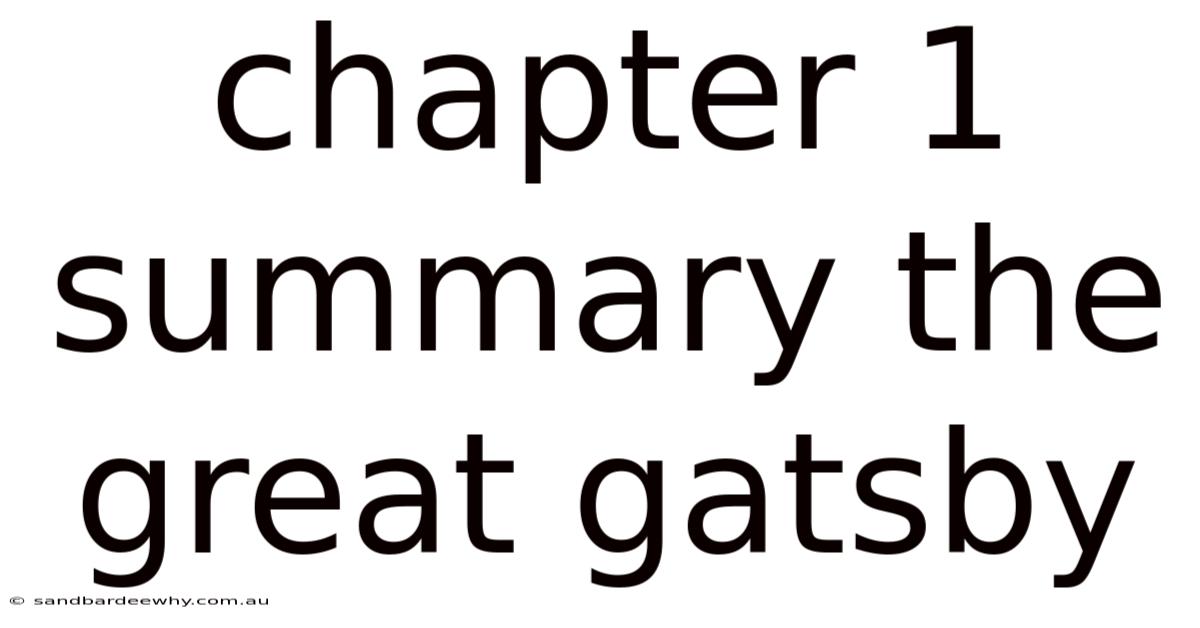 Chapter 1 Summary The Great Gatsby