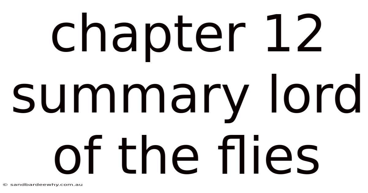 Chapter 12 Summary Lord Of The Flies