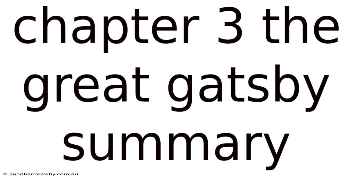 Chapter 3 The Great Gatsby Summary