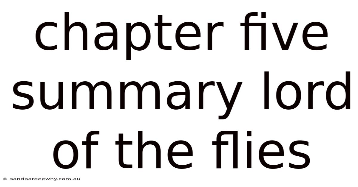 Chapter Five Summary Lord Of The Flies