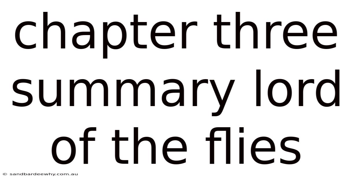 Chapter Three Summary Lord Of The Flies
