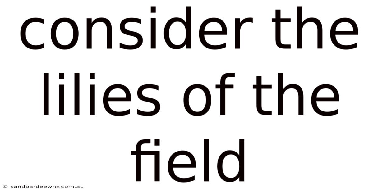 Consider The Lilies Of The Field