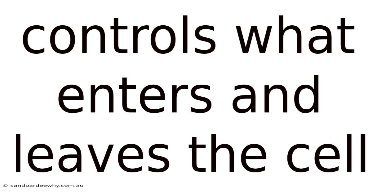 Controls What Enters And Leaves The Cell