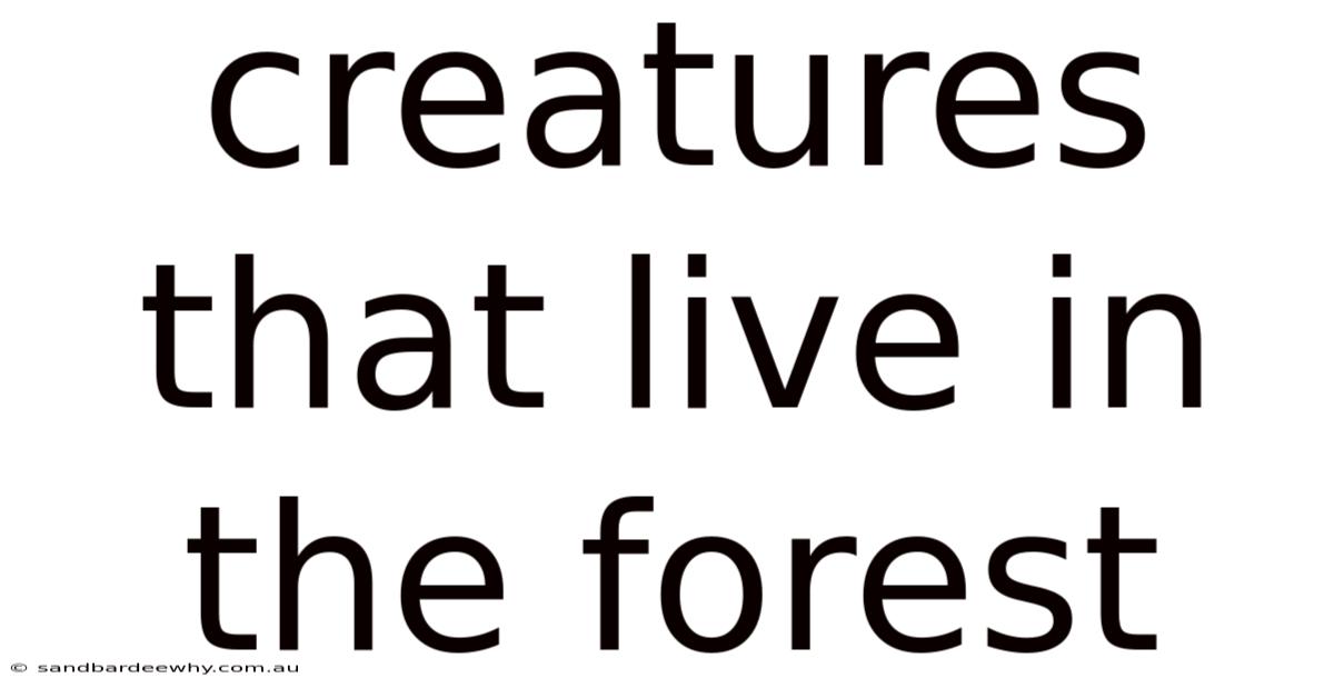 Creatures That Live In The Forest
