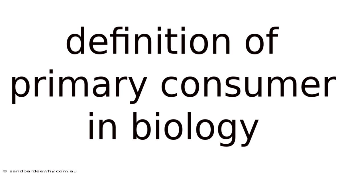 Definition Of Primary Consumer In Biology