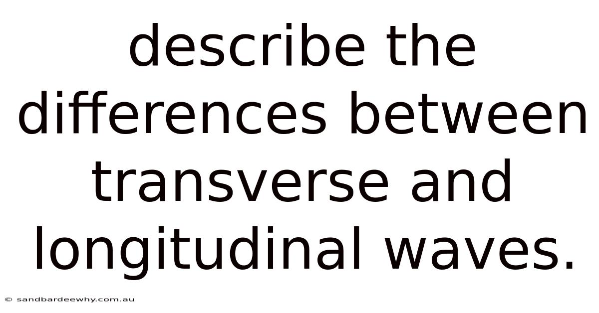 Describe The Differences Between Transverse And Longitudinal Waves.