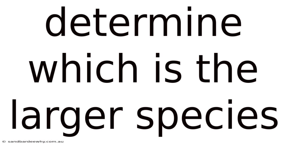 Determine Which Is The Larger Species