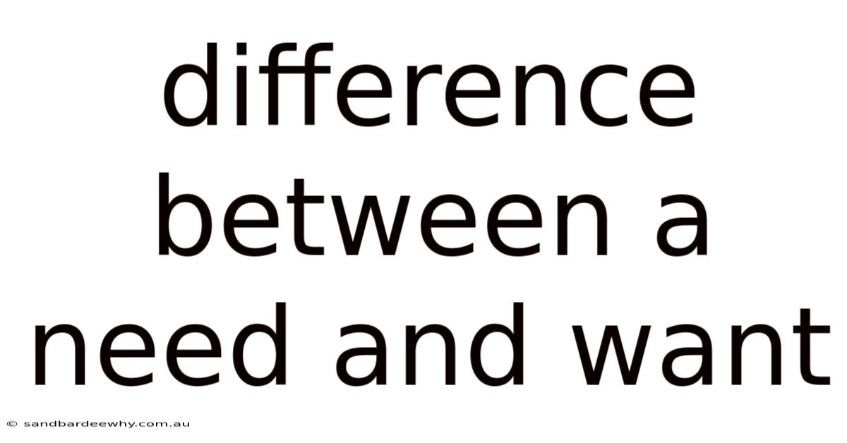 Difference Between A Need And Want