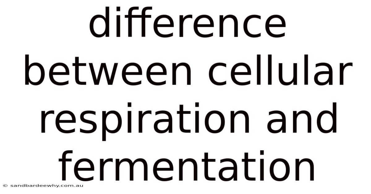 Difference Between Cellular Respiration And Fermentation