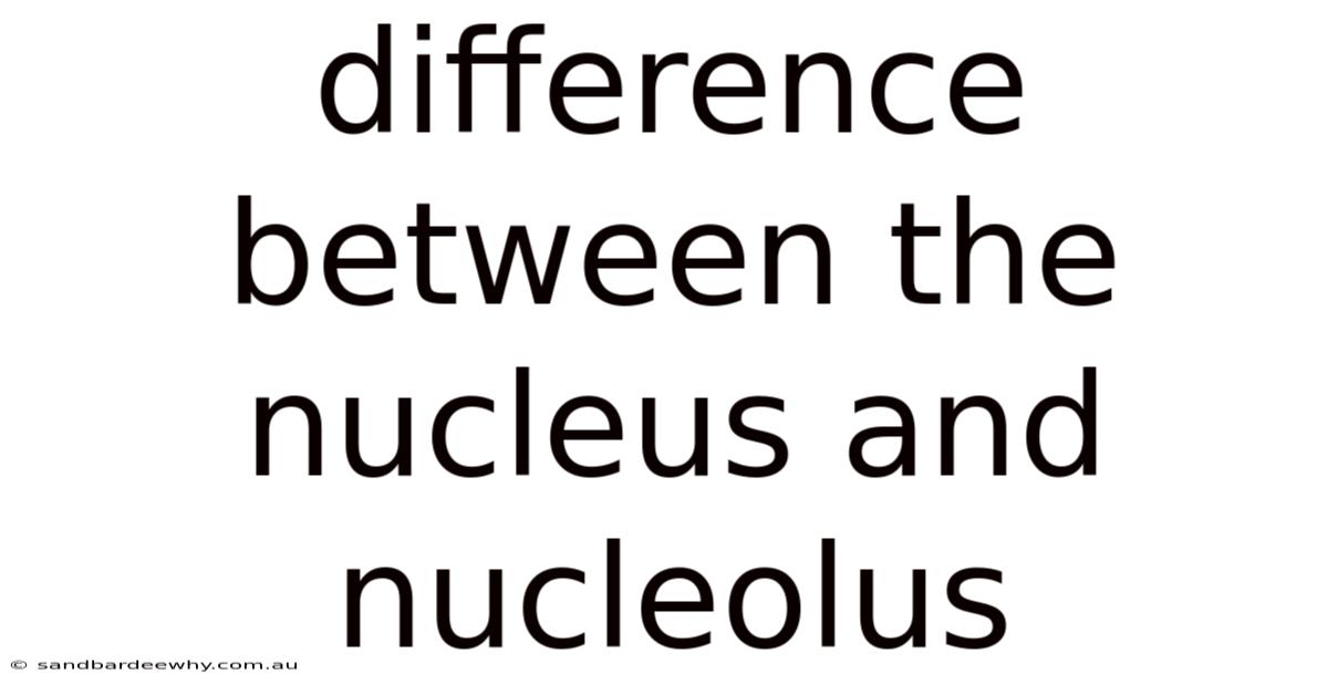 Difference Between The Nucleus And Nucleolus