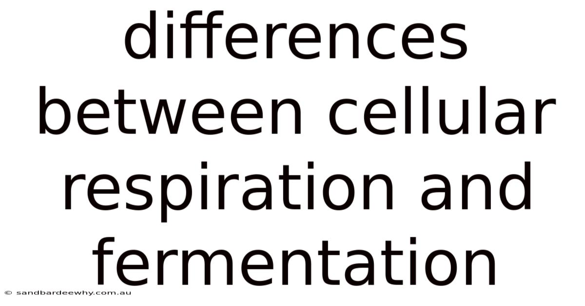 Differences Between Cellular Respiration And Fermentation