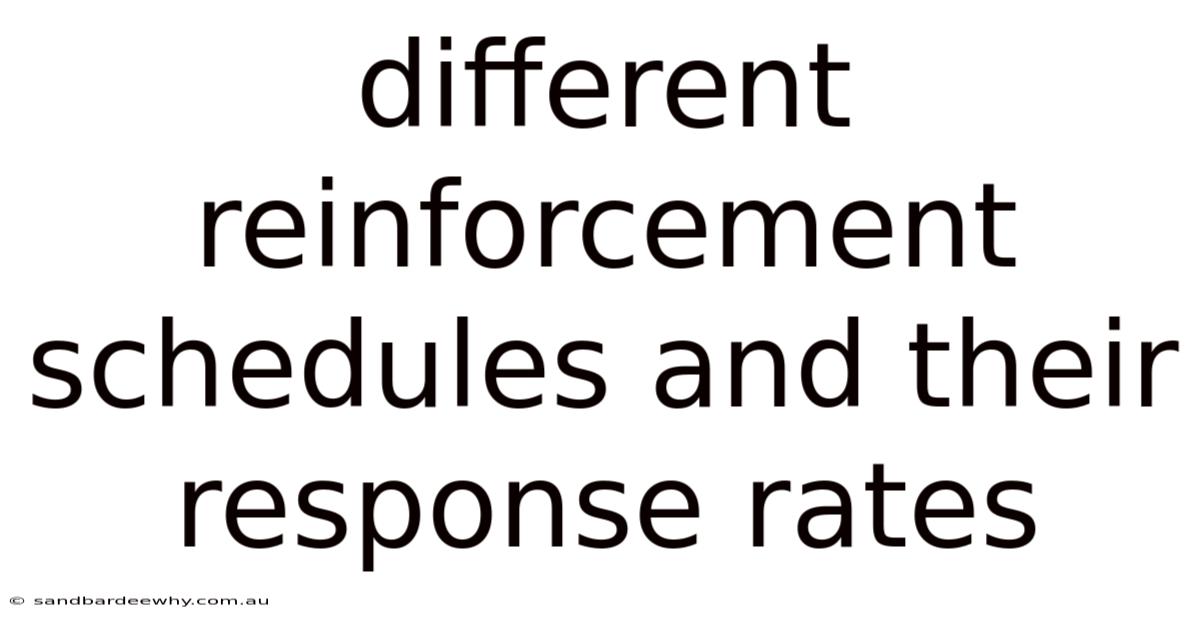 Different Reinforcement Schedules And Their Response Rates