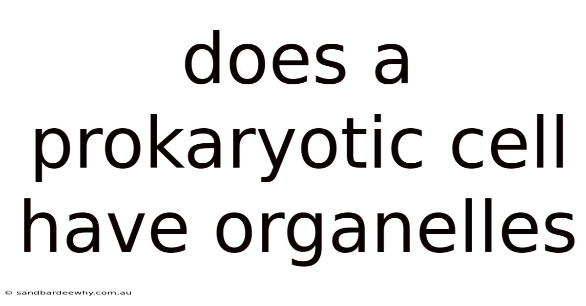 Does A Prokaryotic Cell Have Organelles