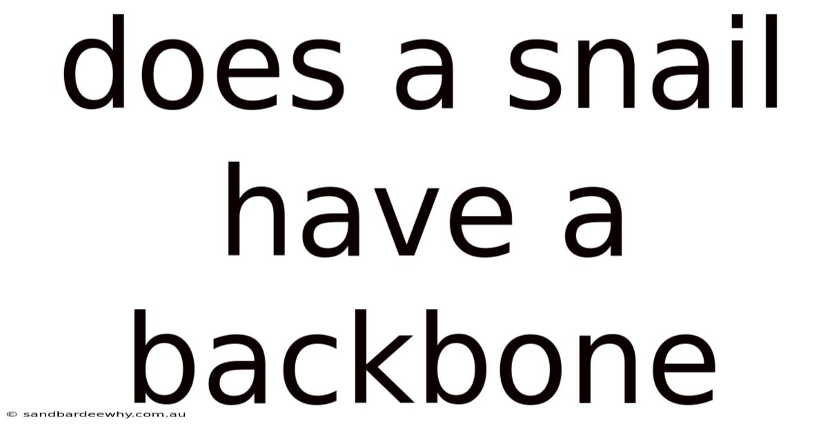 Does A Snail Have A Backbone