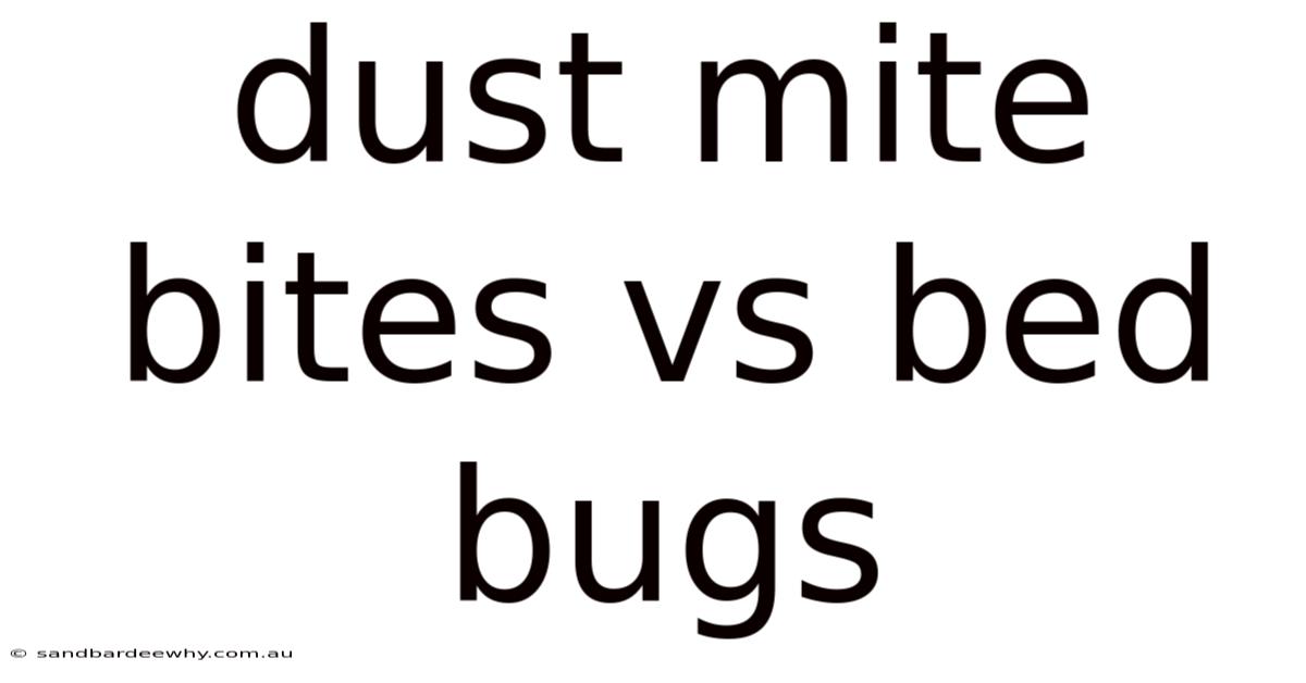 Dust Mite Bites Vs Bed Bugs