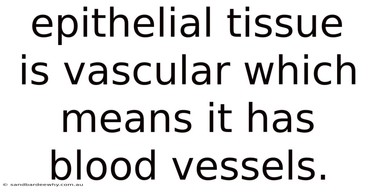 Epithelial Tissue Is Vascular Which Means It Has Blood Vessels.