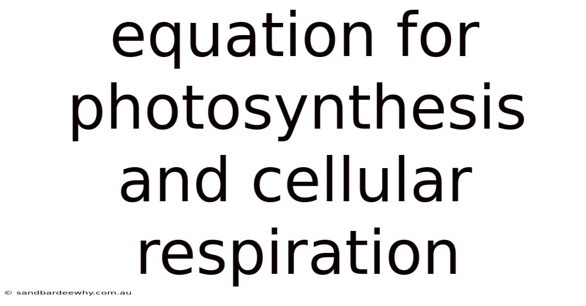 Equation For Photosynthesis And Cellular Respiration