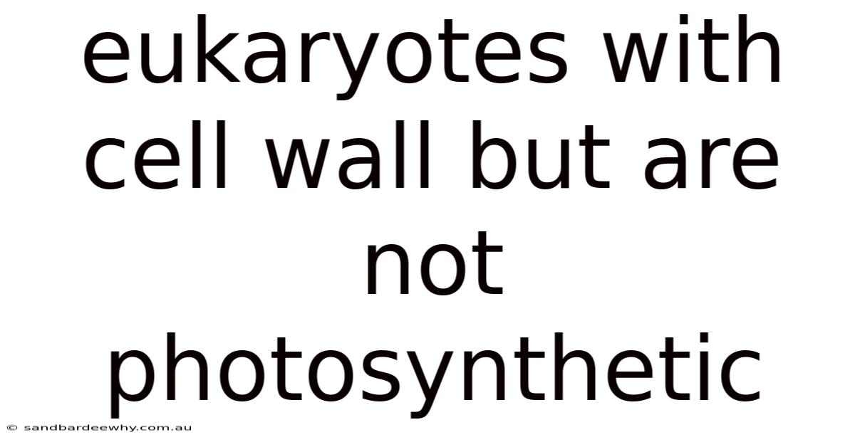 Eukaryotes With Cell Wall But Are Not Photosynthetic