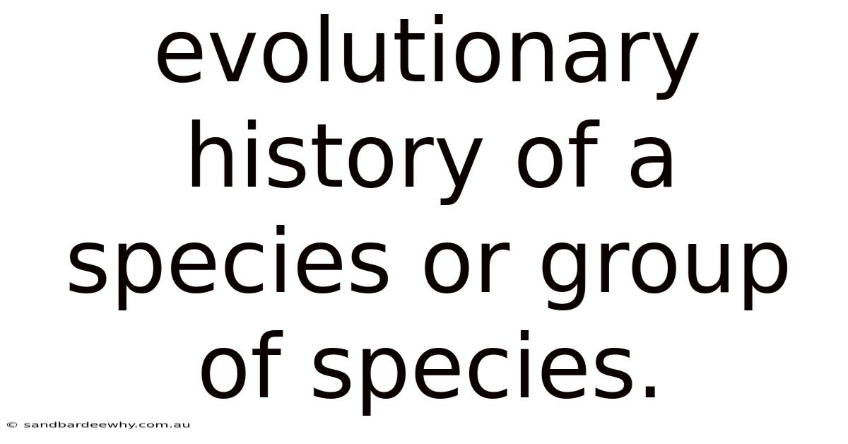 Evolutionary History Of A Species Or Group Of Species.