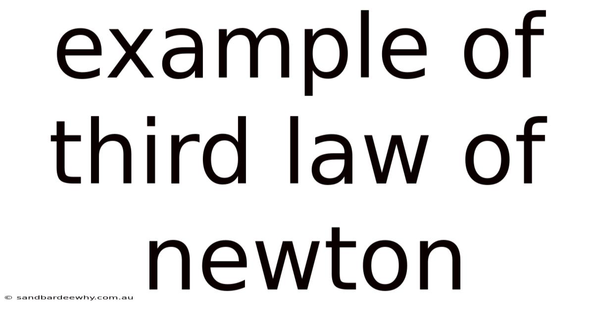 Example Of Third Law Of Newton