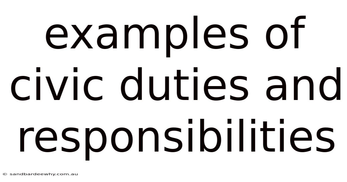 Examples Of Civic Duties And Responsibilities