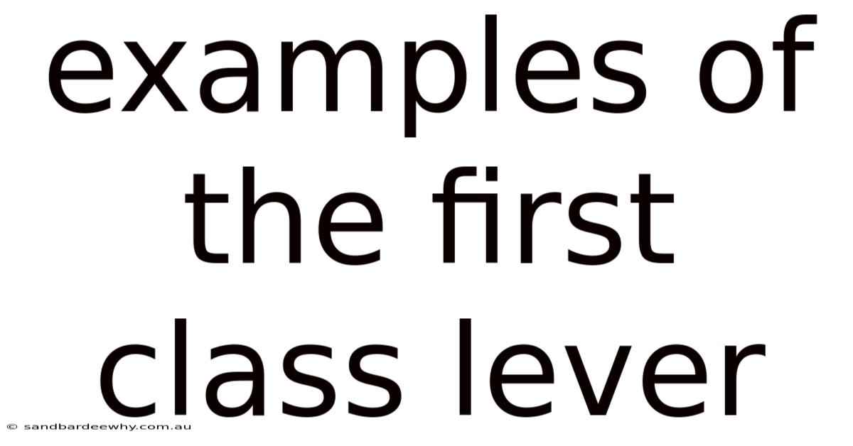 Examples Of The First Class Lever