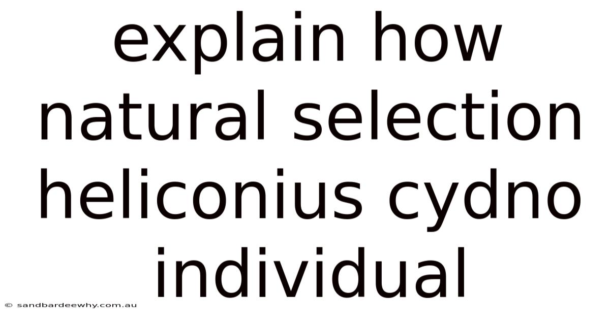 Explain How Natural Selection Heliconius Cydno Individual