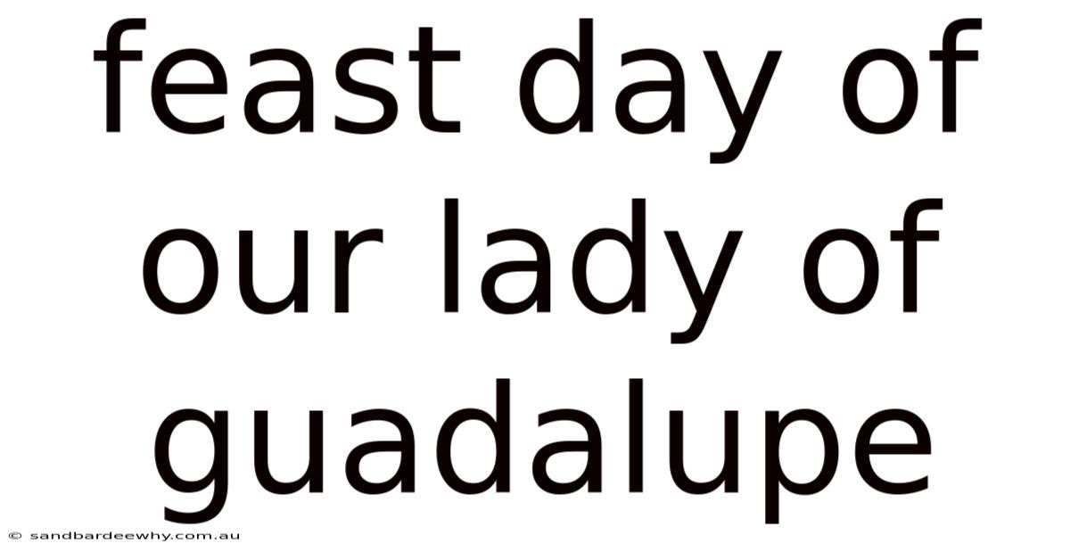 Feast Day Of Our Lady Of Guadalupe