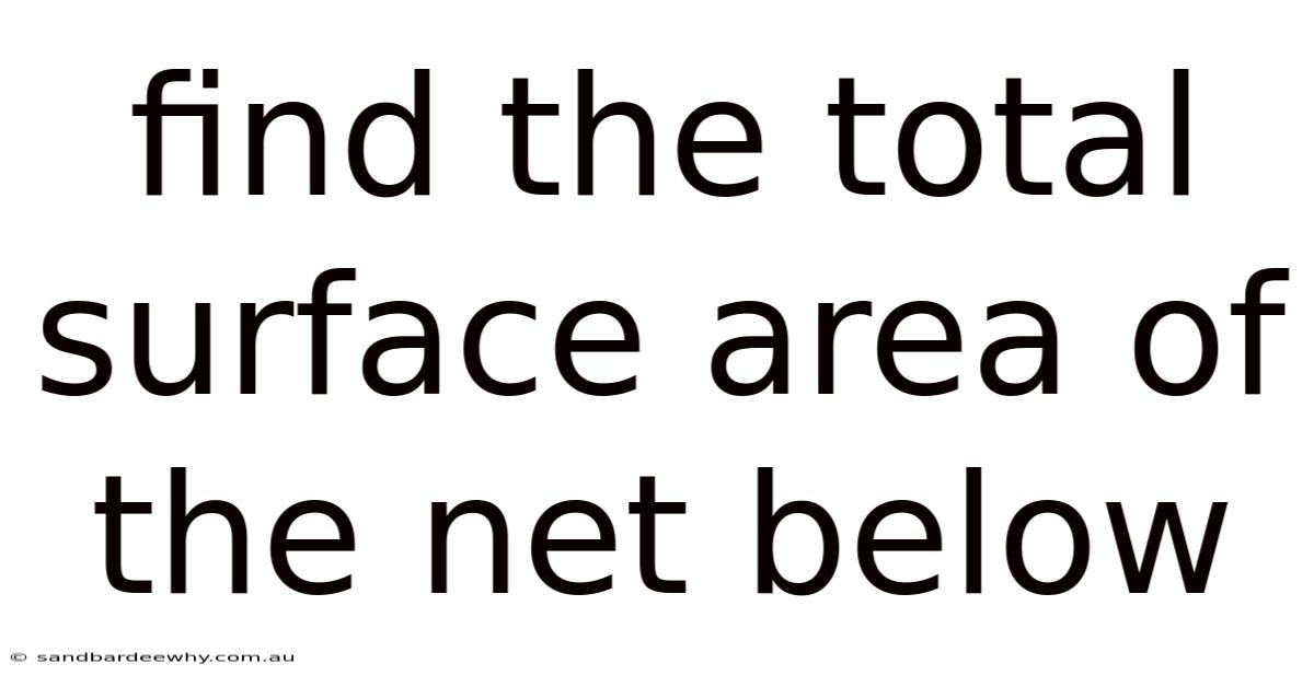 Find The Total Surface Area Of The Net Below